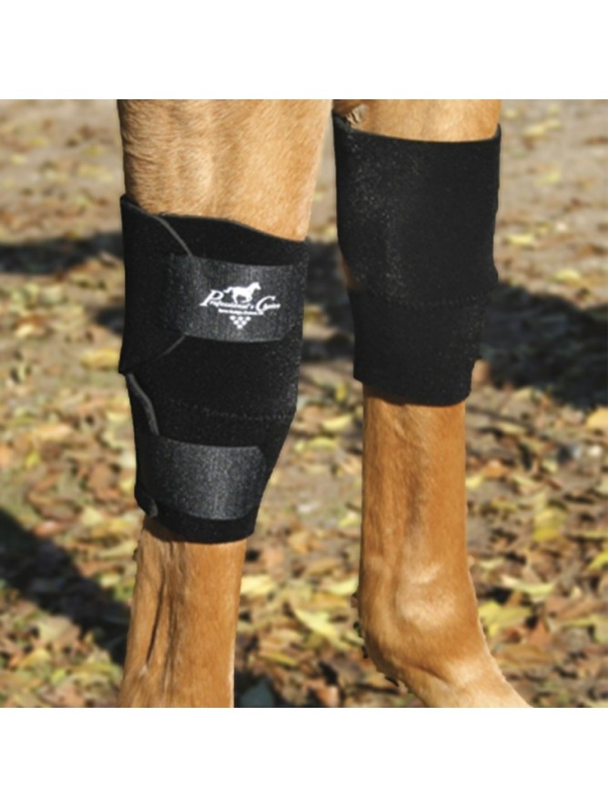 Protège genoux cheval thérapeutique Technologie Titane Liquide